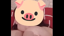 pig bbw